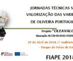 PROJETO “OLEAVALOR” APRESENTADO NA FIAPE 2018