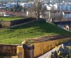 Elvas: Câmara Municipal realiza ações de limpeza e manutenção