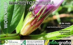 macro_fotografia