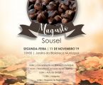 Magusto em Sousel