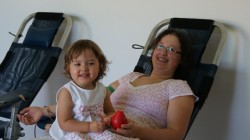 SONY DSC