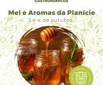 Mel e Aromas da Planície em destaque no Fim de Semana Gastronómico
