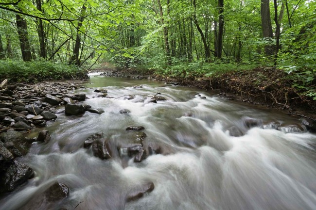 naturealert_waldbach