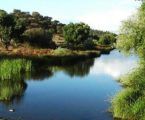 Quercus contesta aprovação do interesse público para  nova Barragem do Pisão no Crato