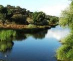 CIM Alto Alentejo quer alteração legal que evite paragens de obras como Barragem do Pisão