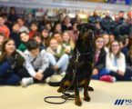 PSP leva interação positiva e direitos dos animais às escolas – Projeto “EU CUIDO”