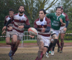 O RC Elvas Resultados fim de semana