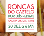 “Roncas do Castelo” em exposição na Casa da Cultura