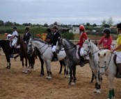 saltos_cavalos