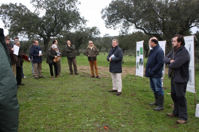 sobreiro-encontro
