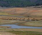Barragem do Pisão no Alto Alentejo: Quercus alerta para impactes ambientais elevados deste investimento