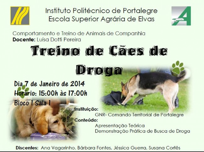 treino_caes_droga