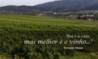 vinha